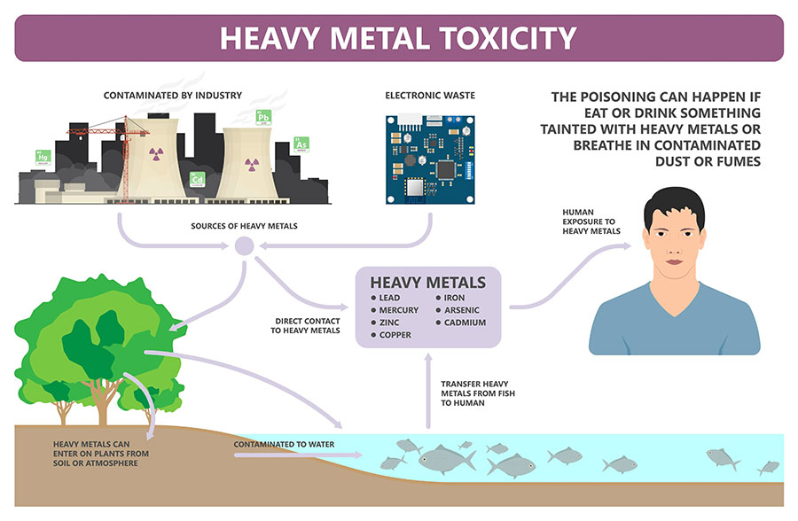 How can Heavy Metals enter the groundwater?