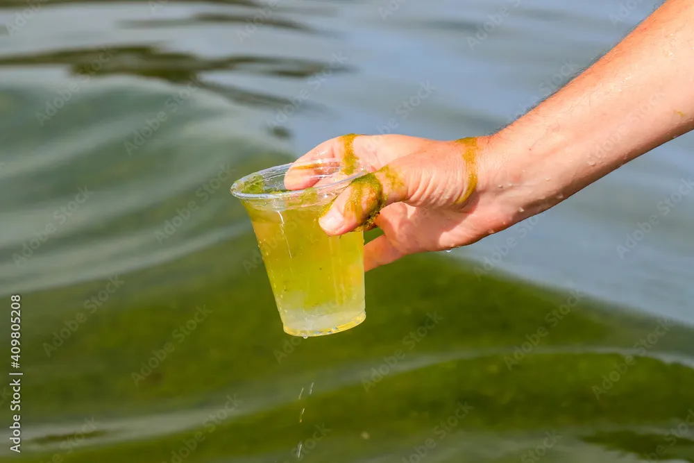 Global pollution of environment. A man collects green water with algae for analysis. Water bloom, phosphate pollution in the sea, lake, river, bad ecology. Test your drinking water with the water testing kits from IVARIO.